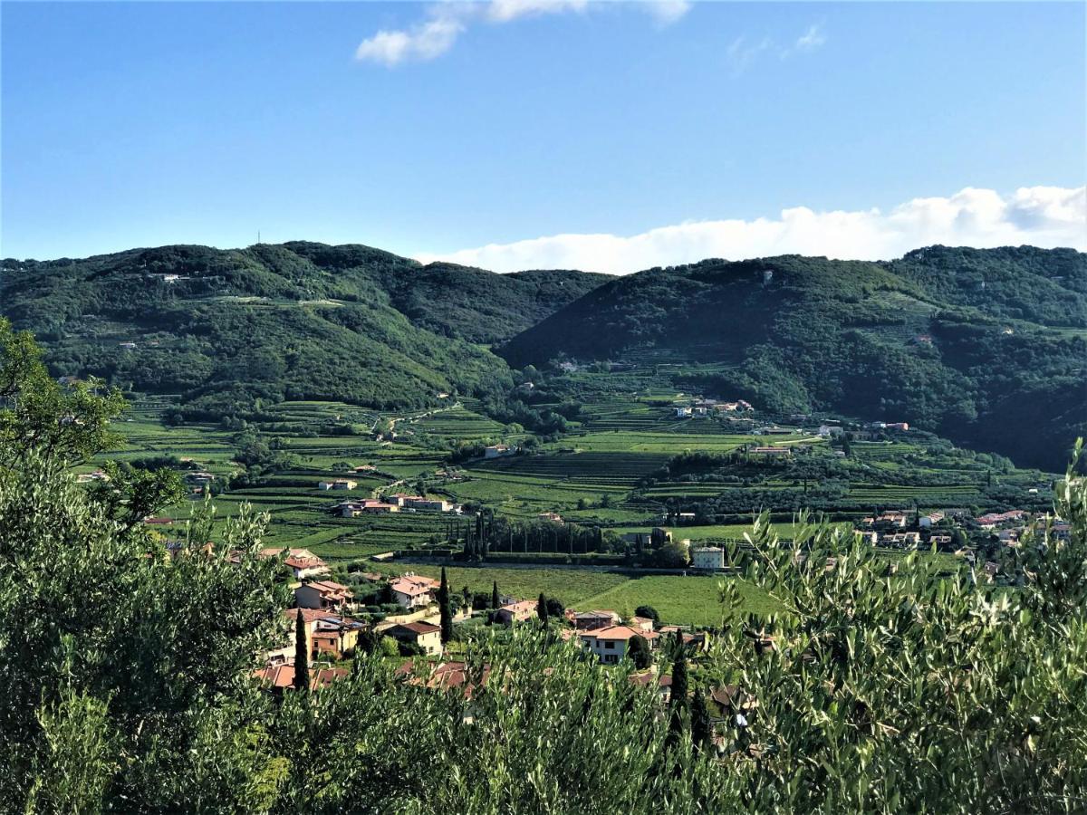 内格拉尔Valpolicella Hills公寓 外观 照片