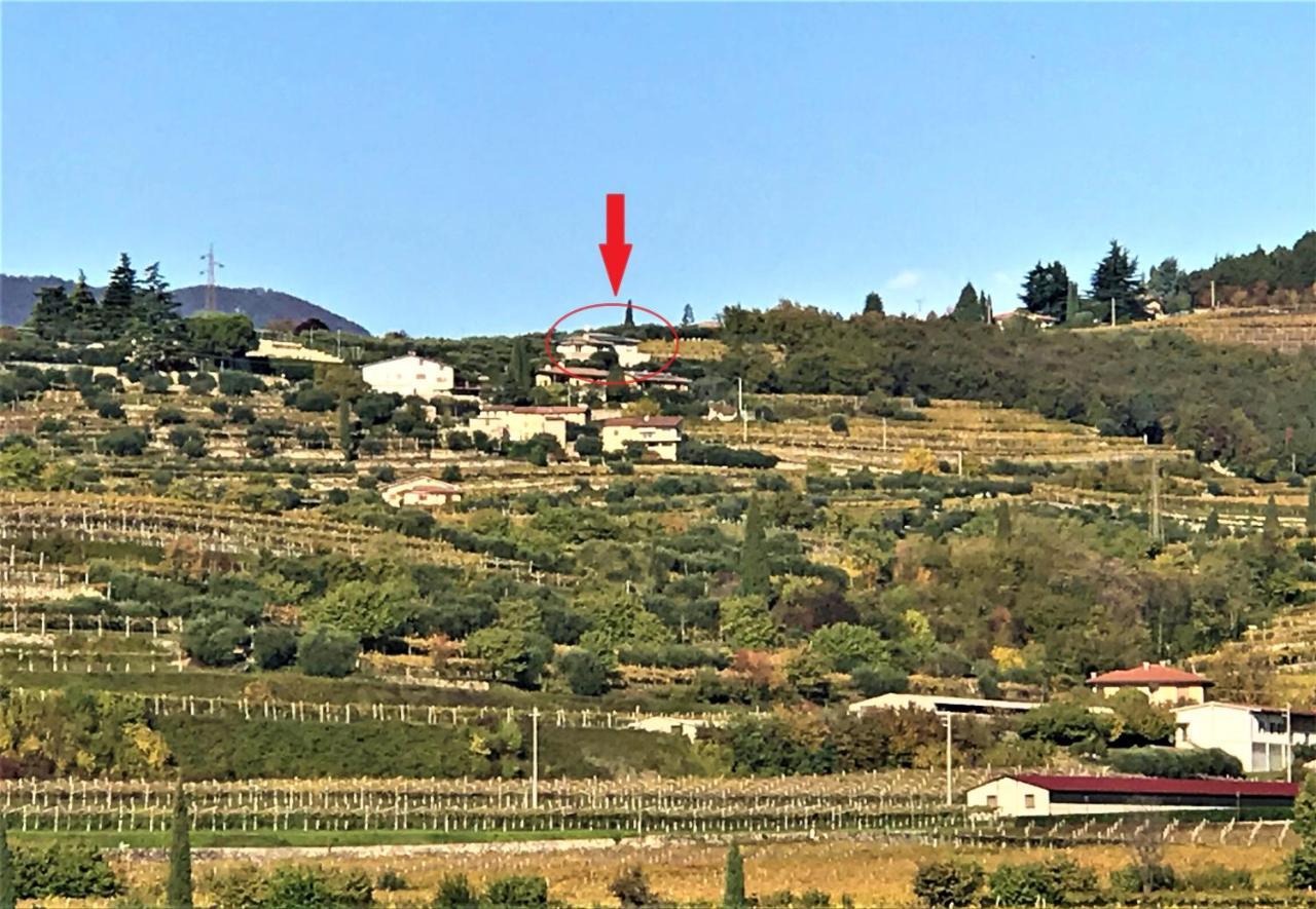 内格拉尔Valpolicella Hills公寓 外观 照片