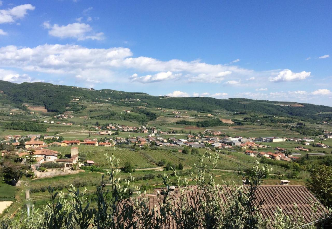 内格拉尔Valpolicella Hills公寓 外观 照片